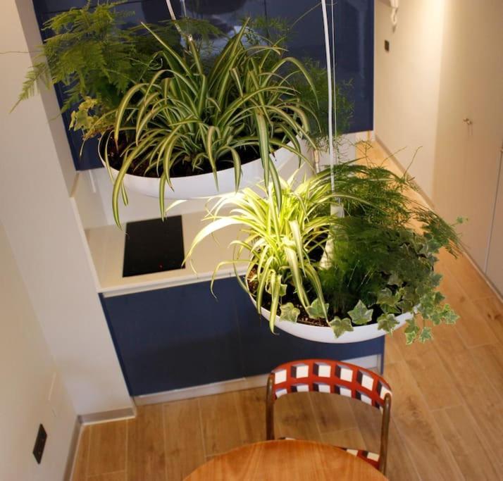 Apartamento Por Temporada Centro Diseno Μαδρίτη Εξωτερικό φωτογραφία
