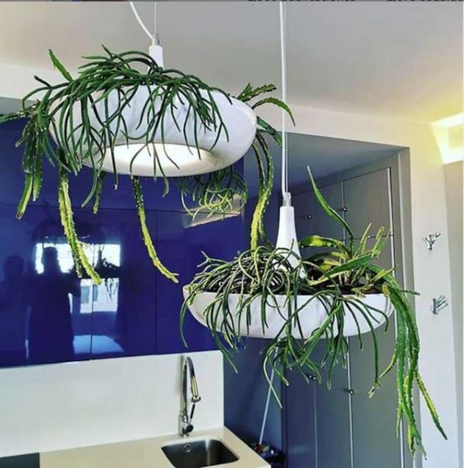 Apartamento Por Temporada Centro Diseno Μαδρίτη Εξωτερικό φωτογραφία